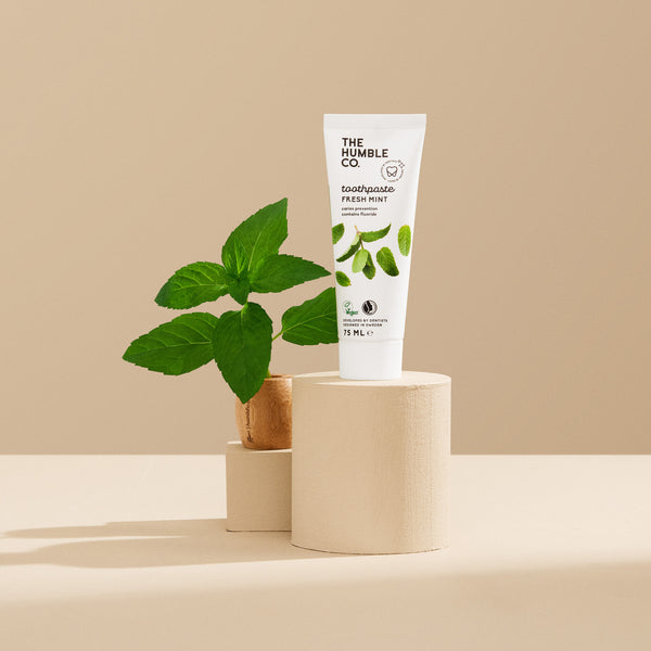 Natural Toothpaste – Fresh Mint
