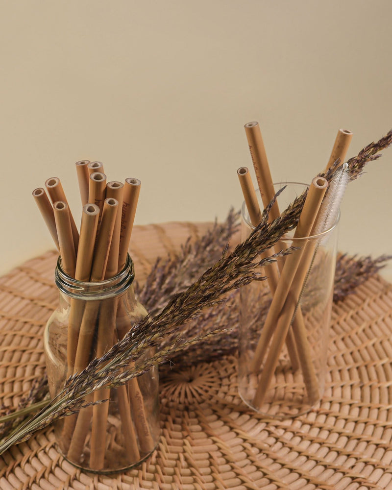 Bamboo Drinking Straws 12-Pack - Brush with Bamboo